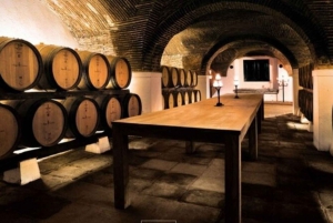Lisbon: Private Full Day Evora & Alentejo Wine Tour