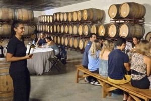 Lisbon: Private Full Day Evora & Alentejo Wine Tour