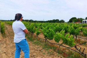 Lisbon: Private Full Day Evora & Alentejo Wine Tour