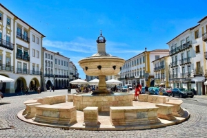 Lisbon: Private Full Day Evora & Alentejo Wine Tour