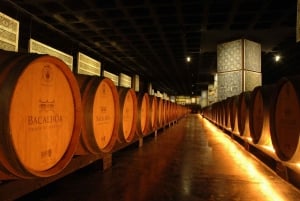 Lisboa: Privat dagstur med vinsmaking i premiumbil