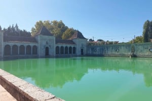 Lisboa: Privat dagstur med vinsmaking i premiumbil