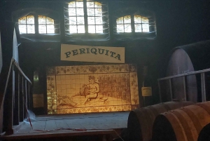 Lisboa: Privat dagstur med vinsmaking i premiumbil