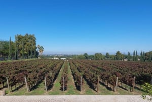 Lisboa: Privat dagstur med vinsmaking i premiumbil