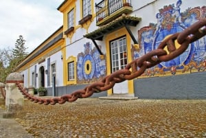 Lisboa: Privat dagstur med vinsmaking i premiumbil