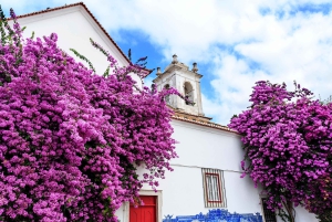 Lisboa: Tour particular de tuk-tuk pela cidade velha