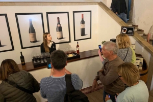 Lizbona: Prywatna wycieczka All Inclusive Setúbal & Arrábida Wine Tour