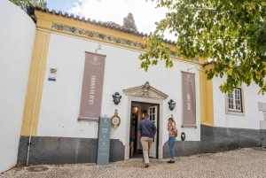 Lisbon Private Setúbal Region Wine Tasting Tour