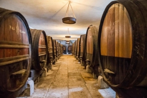 Lisbon Private Setúbal Region Wine Tasting Tour