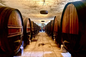 Lisbon: Private Setúbal Wine Tour with Food & Wine Tasting