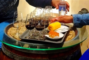 Lisbon: Private Setúbal Wine Tour with Food & Wine Tasting
