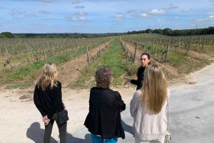 Lizbona: Prywatna wycieczka All Inclusive Setúbal & Arrábida Wine Tour