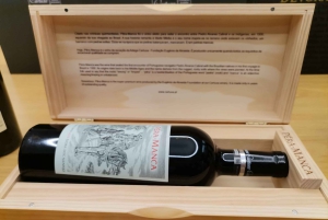 Lisboa: Tour Privado Evora con Cata de Vinos en la Cartuxa