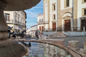 Lisboa: Tour Privado Evora con Cata de Vinos en la Cartuxa