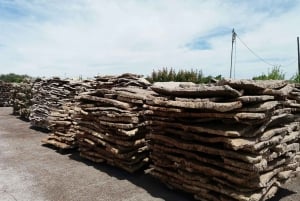 Lisboa: Tour Privado a Évora e Fábrica de Cortiça