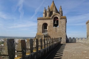 Lisboa: Tour Privado a Évora e Fábrica de Cortiça