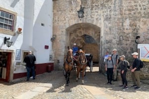 fatima, sintra, cascais, nazare private tour from lisbon