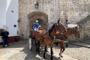 fatima, sintra, cascais, nazare private tour from lisbon