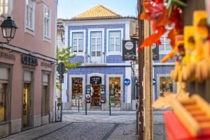 Lisbon: Private Transfer to Porto with stops until 3 cities