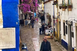 Lisbonne : Transfert privé vers Porto avec arrêts dans 3 villes