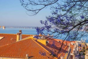 Lisboa: Tuk-Tuk-tur på fransk eller tysk med ekte lokal guide