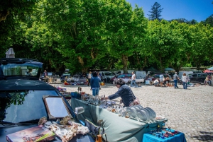 Lissabon: Queluz, Pena, Regaleira, Sintra, Cascais, und Roca!