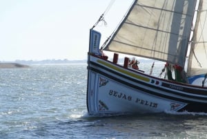 Lisbon: River Tagus Sightseeing Cruise in Traditional Vessel