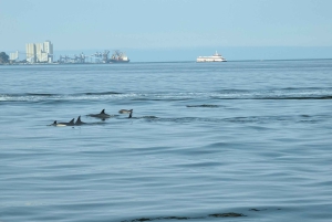 Lisbon: Scenic Day & Sunset Boat Tour with a Drink
