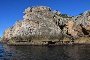 Lisbon: Sesimbra Kayak Discovery Experience