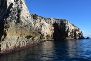 Lisbon: Sesimbra Kayak Discovery Experience
