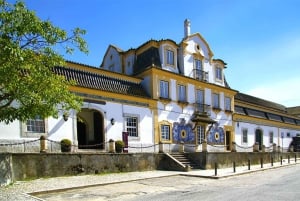 Lisboa: Tur på Setúbal-halvøya med vinsmaking og lokale