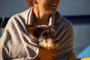 Lisbon: Sightseeing Boat Tour with Hop-On Hop-Off Option