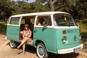 Lisbon: Sintra, Cabo da roca private tour