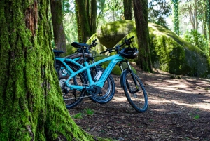 Lisbona: Sintra, Cascais, Cabo da Roca in bicicletta elettrica + trasferimento