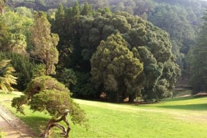 From Lisbon: Sintra, Pena, Regaleira, Cabo da Roca & Cascais