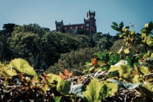 Ab Lissabon: Sintra-Halbtagestour mit Tickets für den Pena-Palast