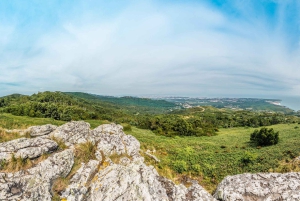 Lisboa: Halvdagsutflukt til Sintra med Pena-palasset og Regaleira