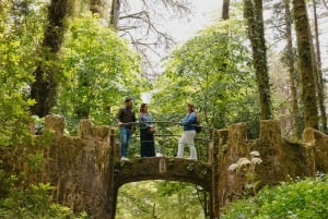 Lisboa: Sintra, Palácio da Pena, Cabo da Roca e Cascais