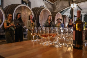 Lisbona: Sintra, Palazzo Pena e degustazione di vini Tour per piccoli gruppi