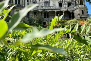 Lisbon: Sintra, Quinta da Regaleira, Cascais Private Tour