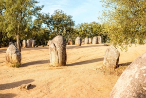 Vanuit Lissabon: Évora, Beenderenkapel & Alentejo-wijntour