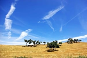 From Lisbon: Évora, Chapel of Bones & Alentejo Wine Tour