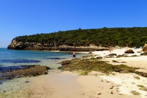 Lisbon: Snorkeling and Wine Tasting in Arrábida
