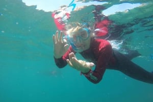 Lisbon: Snorkelling in Sesimbra/Arrábida Natural Park