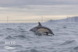 Lisboa: Passeio de lancha ao Farol do Bugio