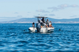 Lisboa: Passeio de lancha ao Farol do Bugio
