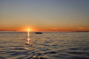 Lisboa: Passeio de lancha ao Farol do Bugio