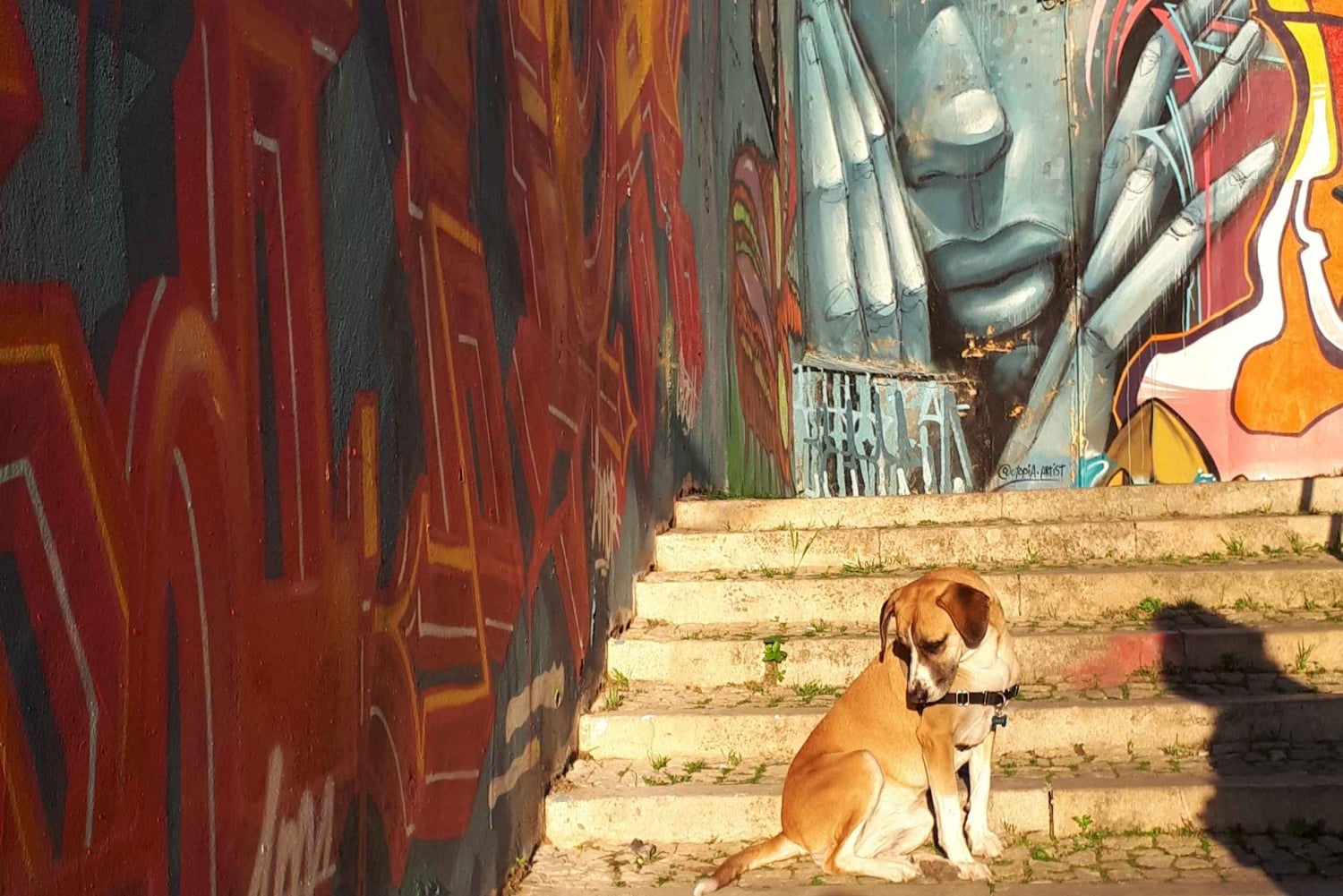 Passeggiata per gli amanti dell'arte di strada a Lisbona