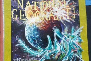 Passeggiata per gli amanti dell'arte di strada a Lisbona