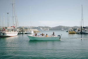 Rondvaart bij zonsondergang in Lissabon met lokale hapjes en drankjes
